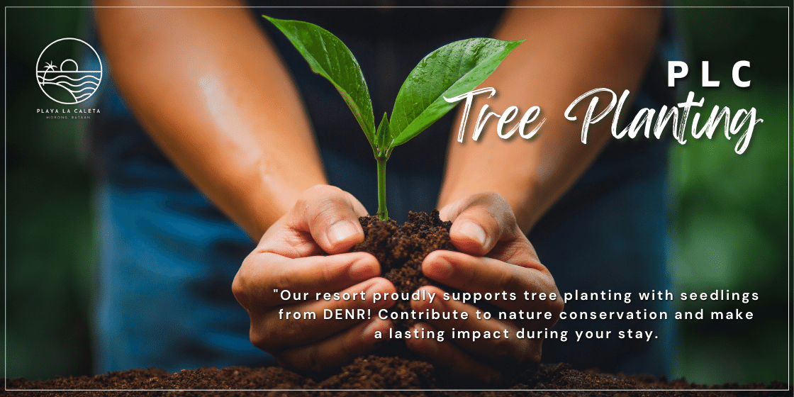 PLC Conservation Programs Tree Planting
