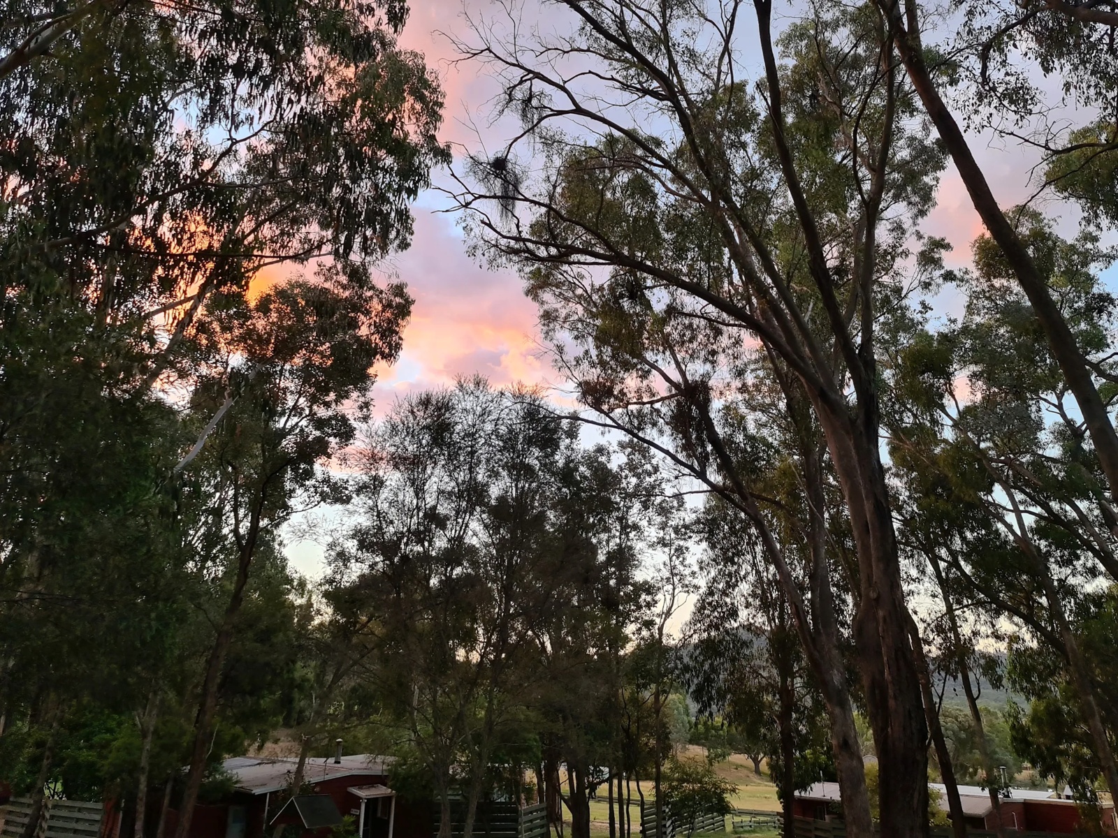 Dawn1