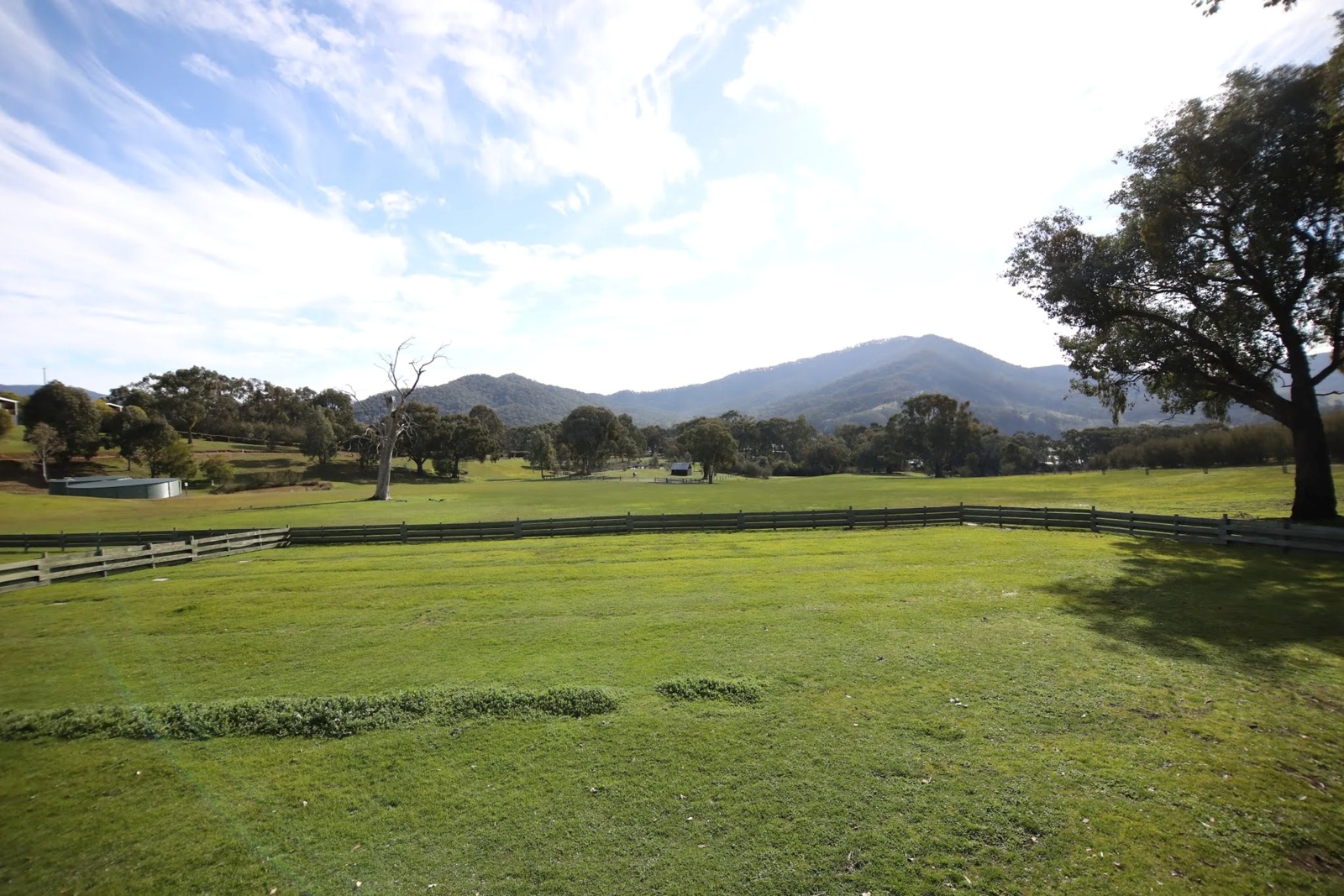Delatate+Paddock+hill+1