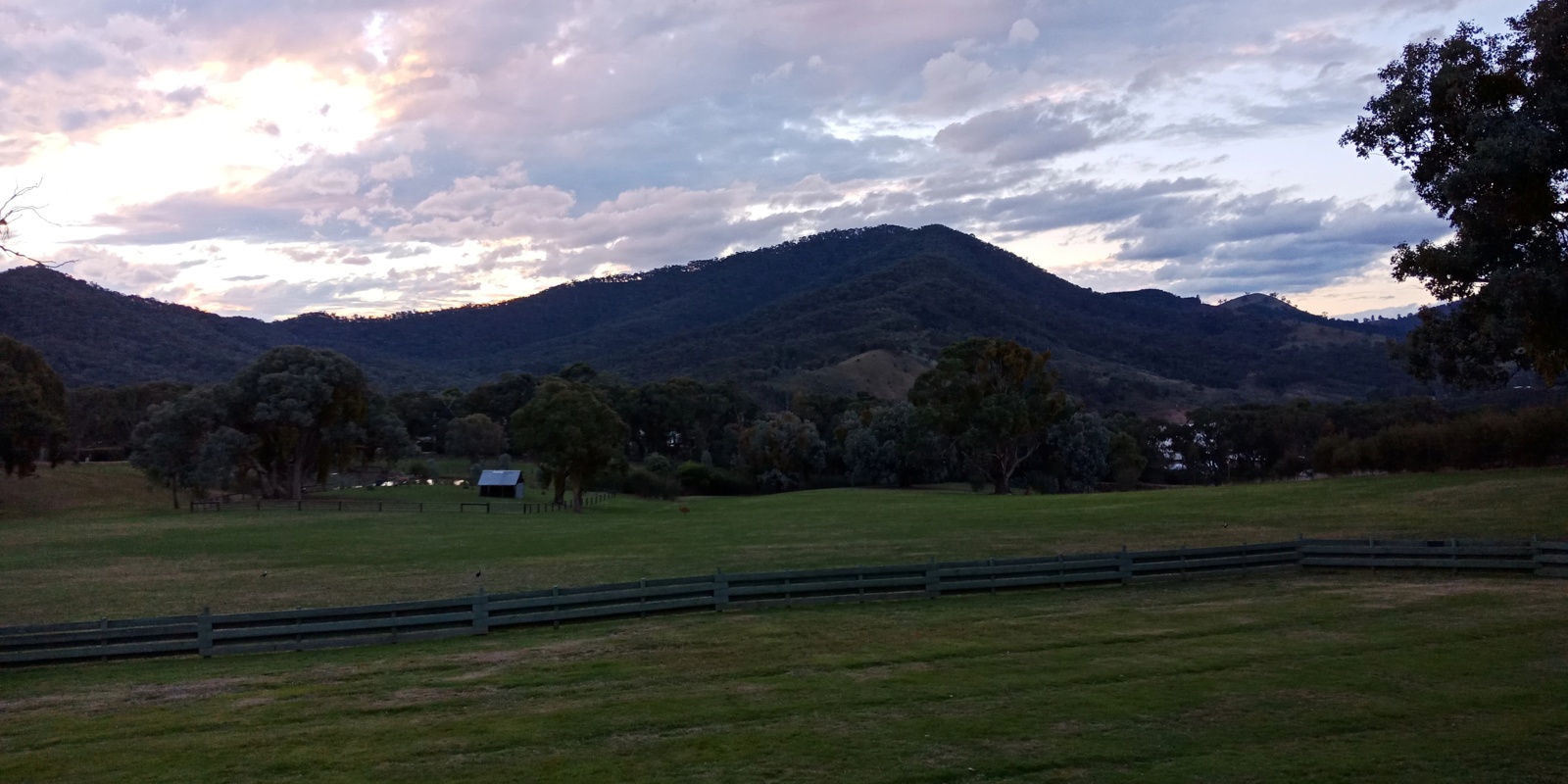 Delatate+Paddock+hill+2