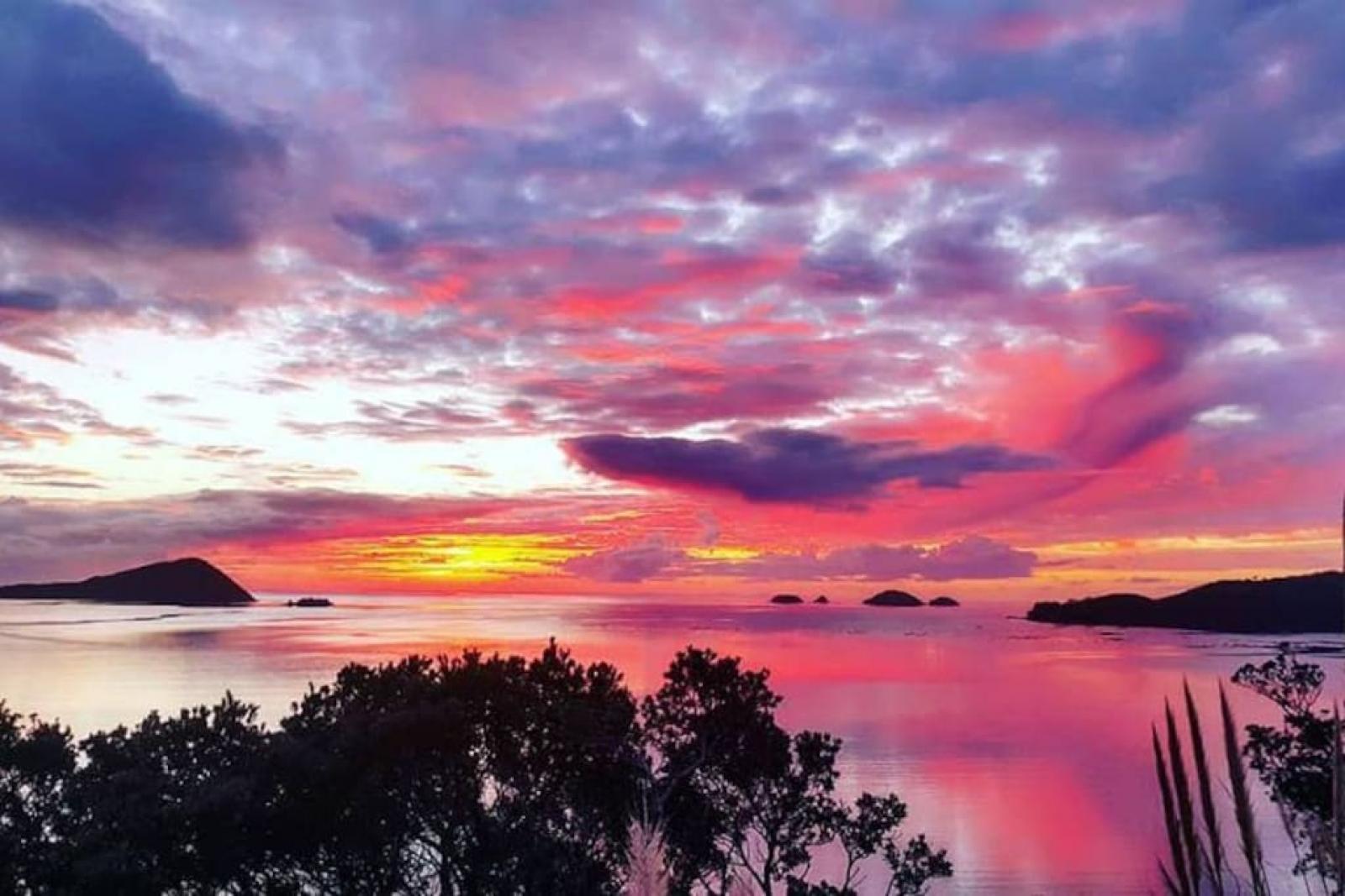 Coromandel Town Island View Experience