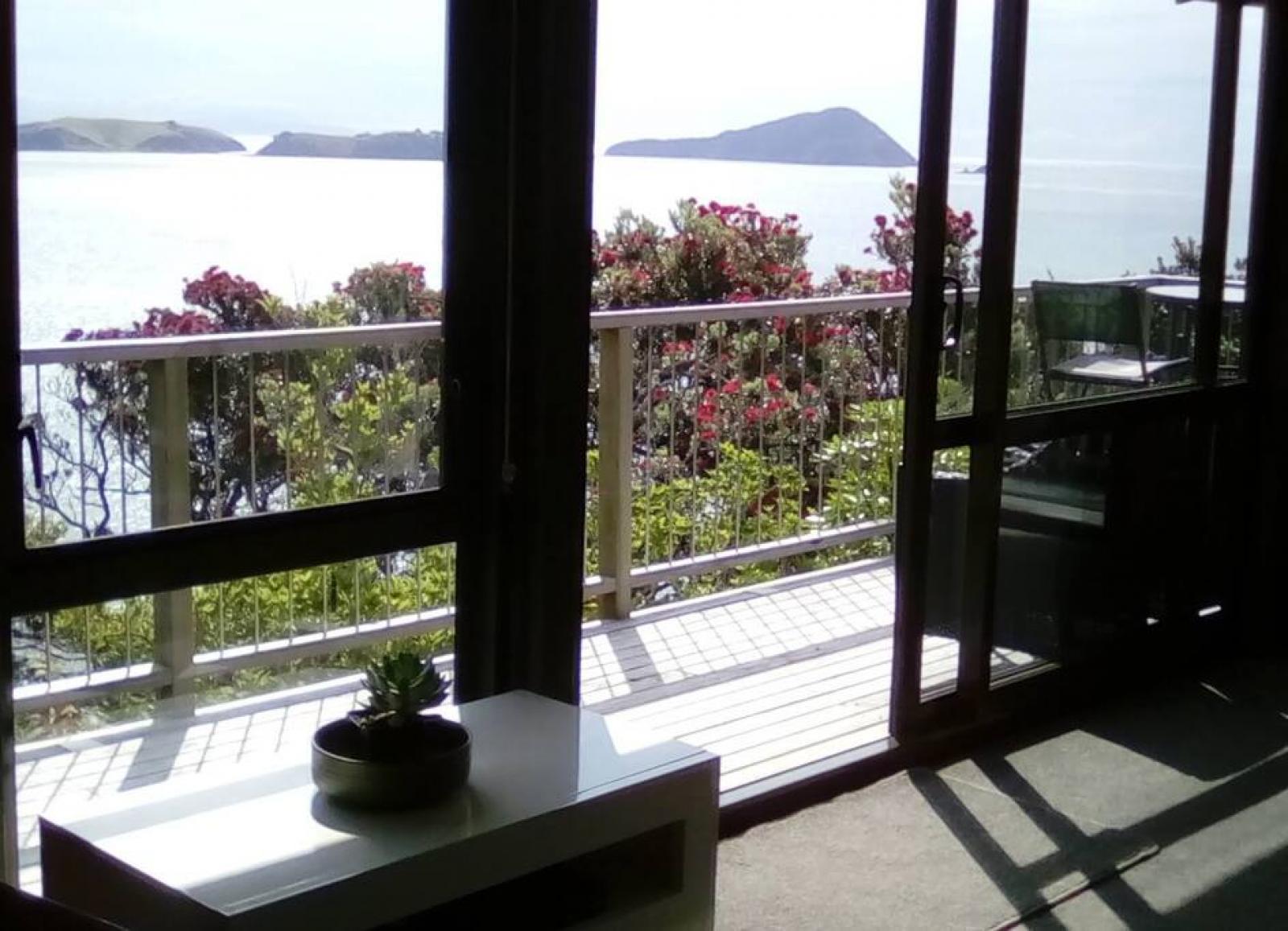 Coromandel Town Island View Experience