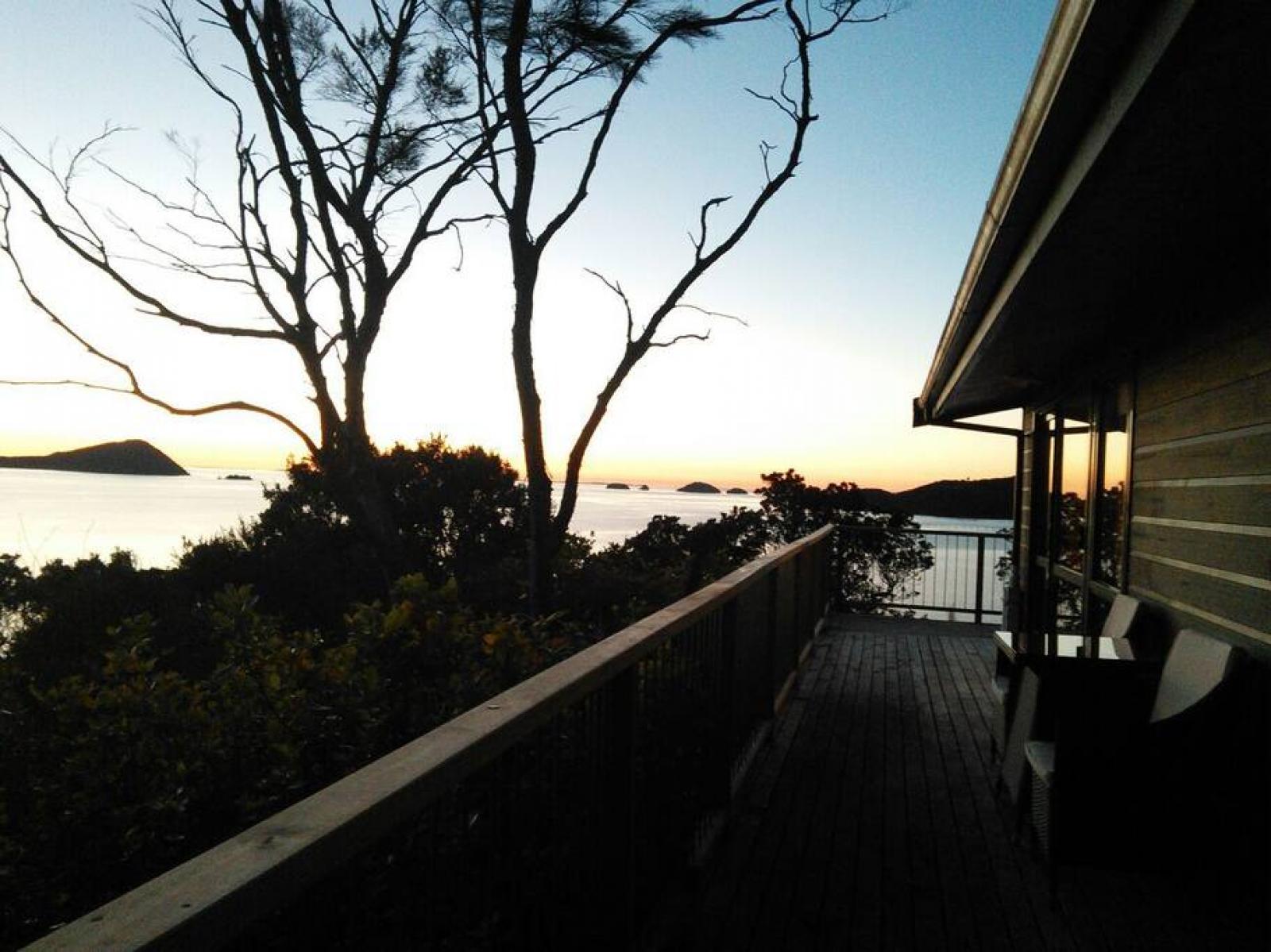 Coromandel Town Island View Experience