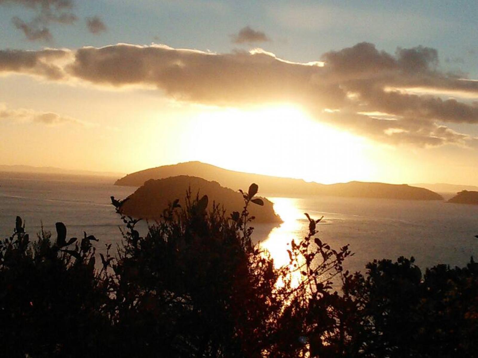 Coromandel Town Island View Experience