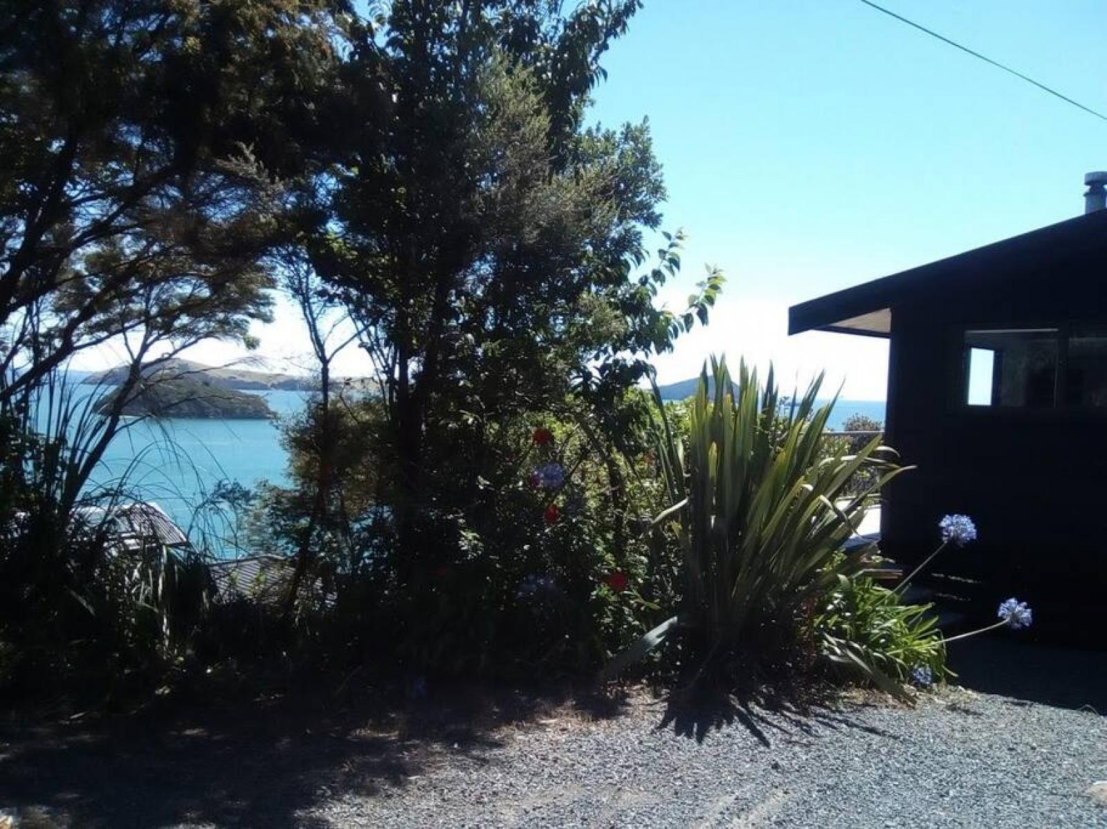 Coromandel Town Island View Experience