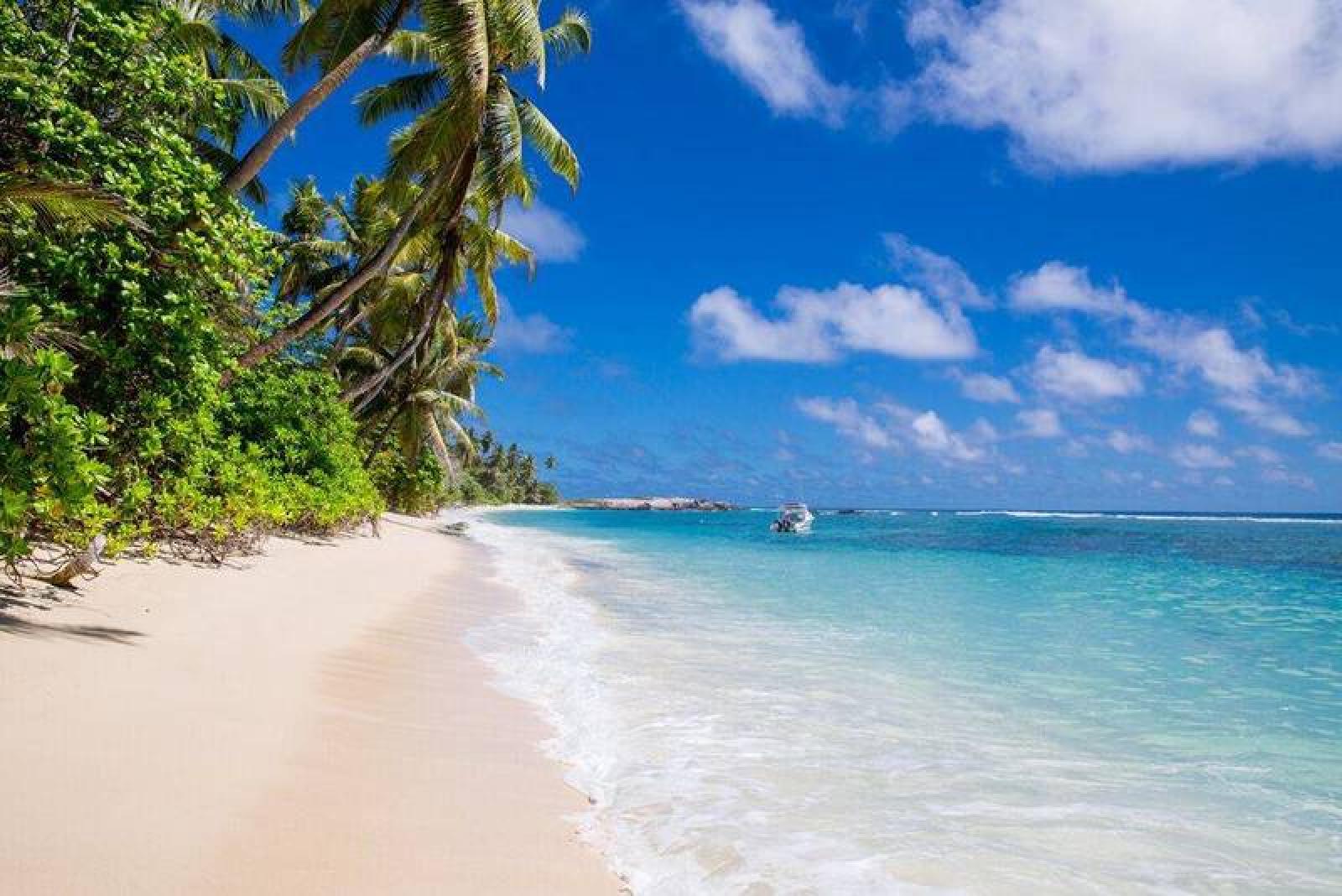 Tropical beach