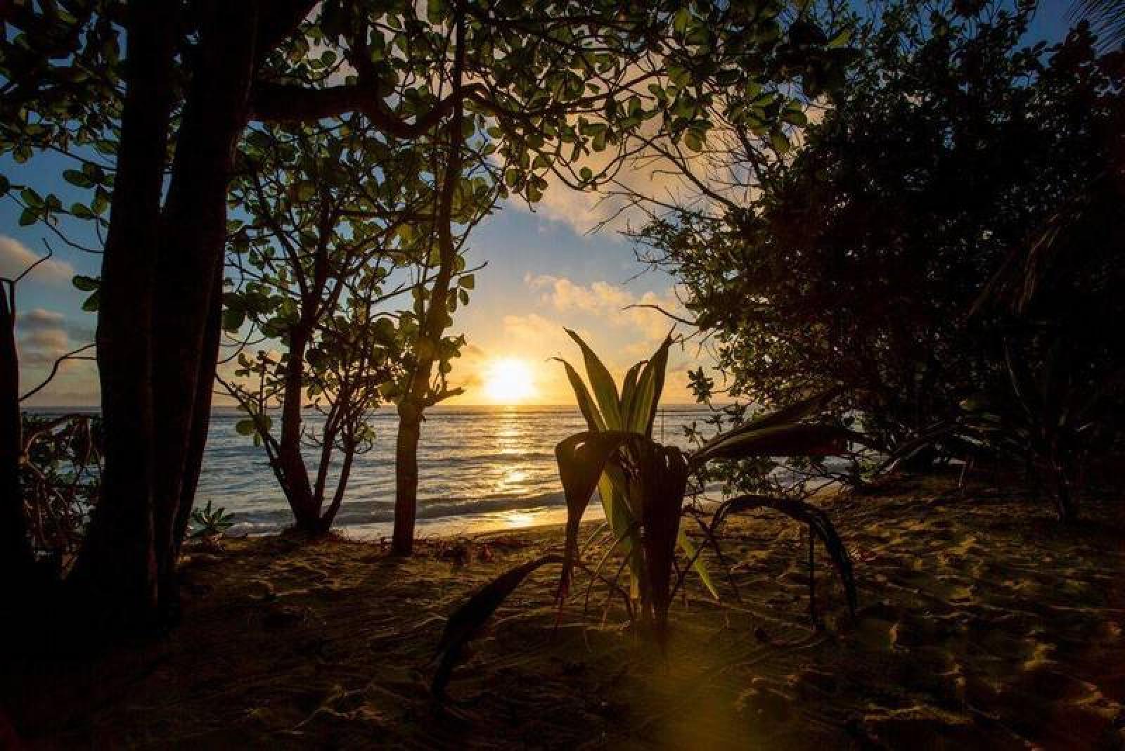 Sunrise+View