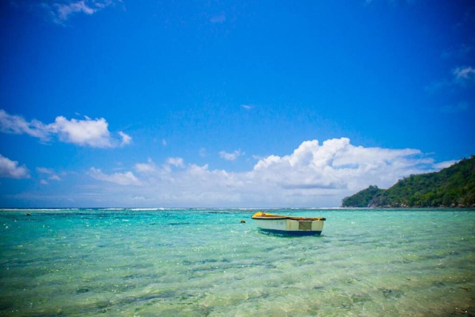 Beach View