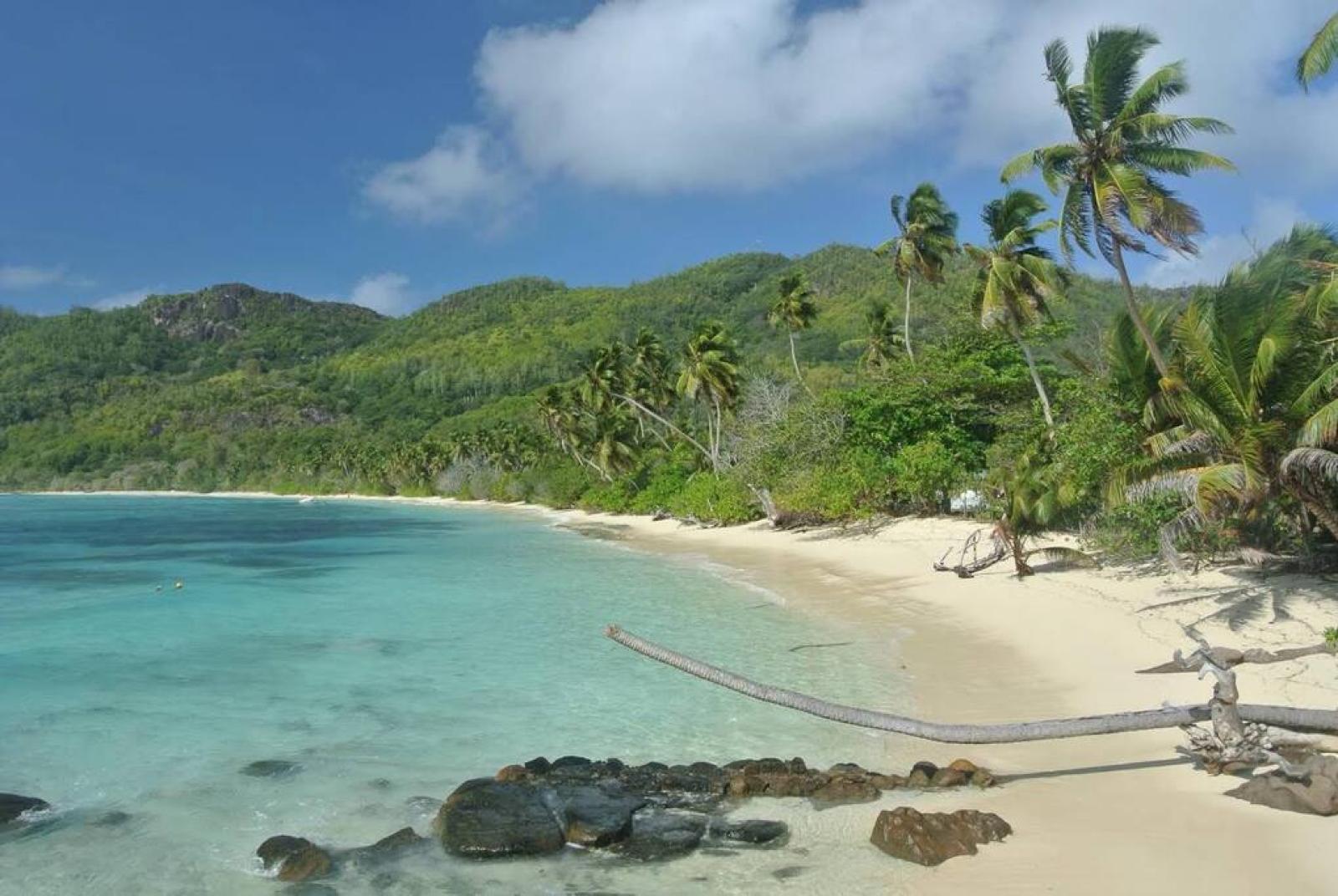 Beach View