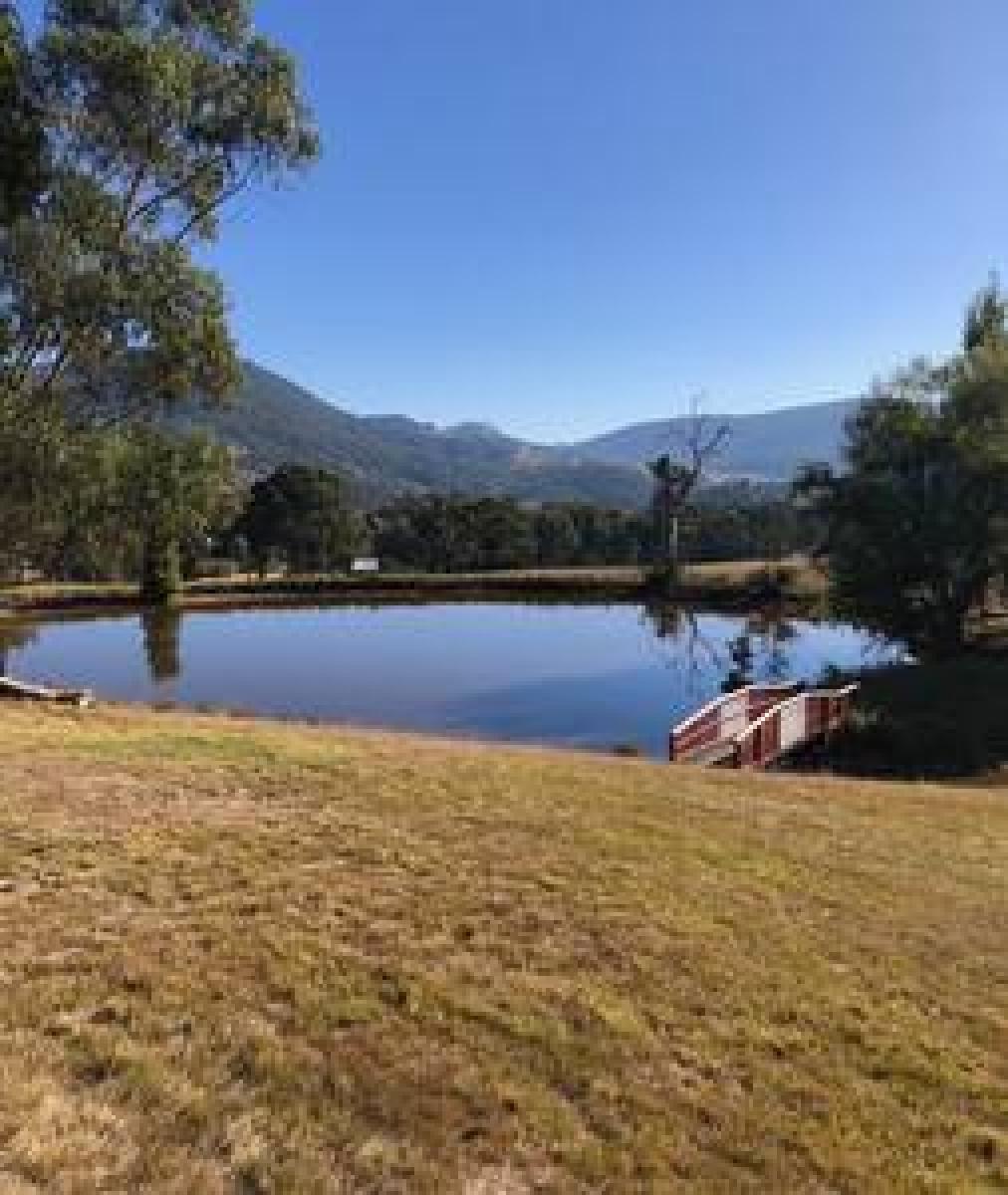 view13