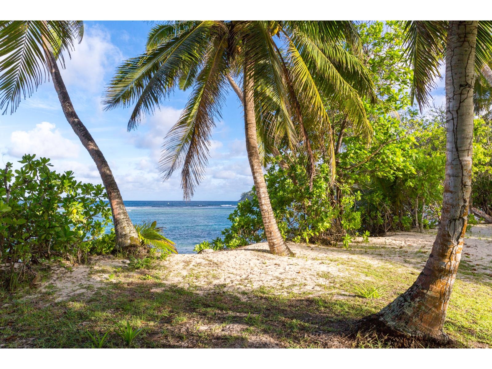 Direct+Beach+Seychelles+accomodation