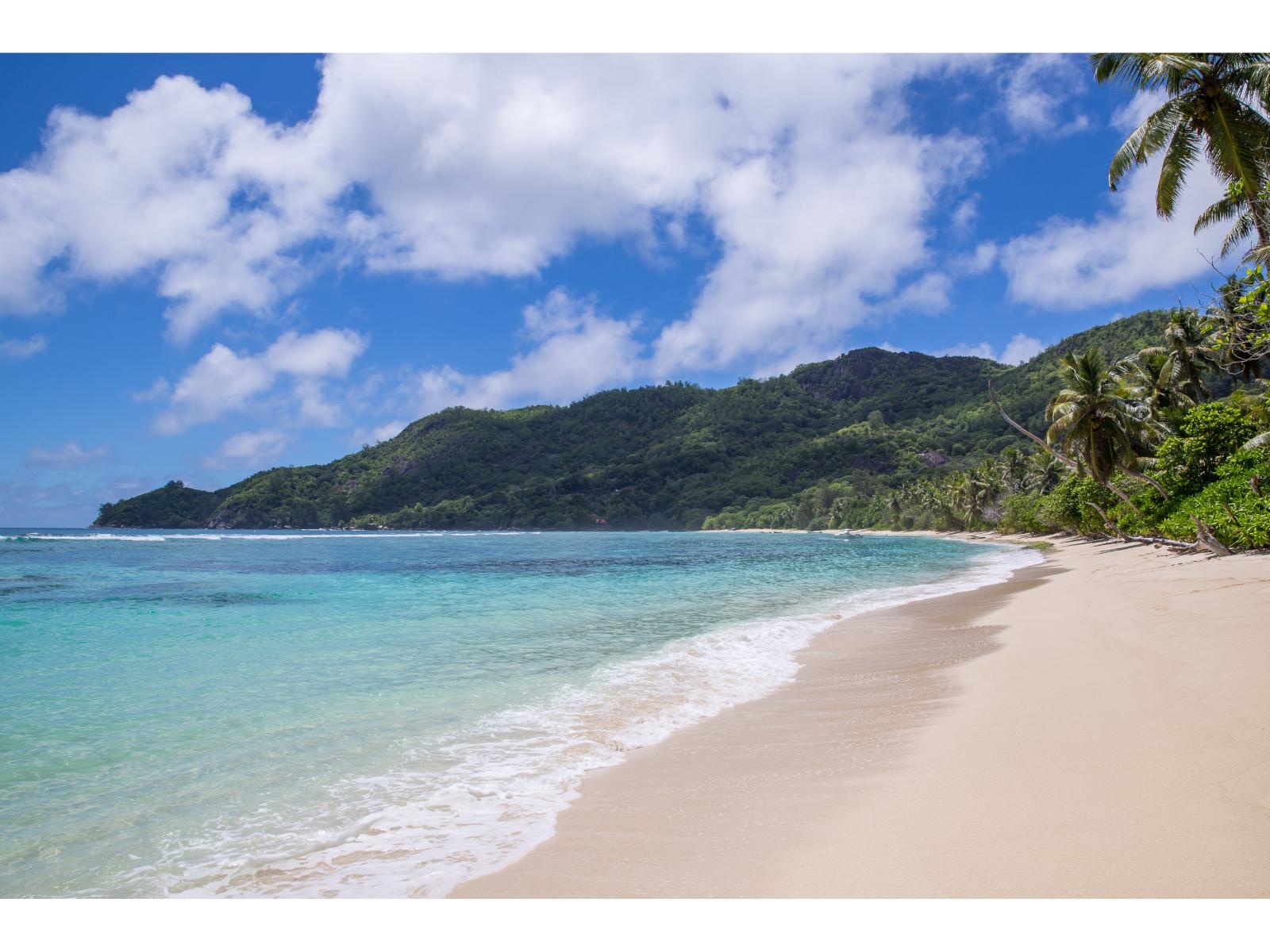 anse+forbans+beach